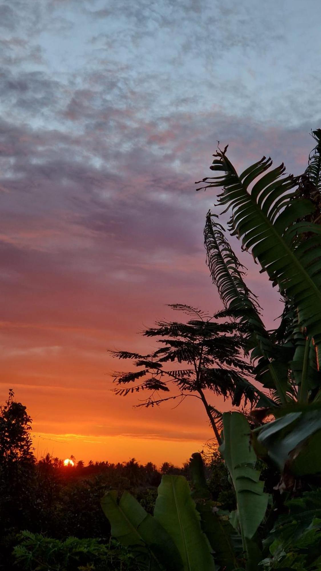 Monkey Mountain Lodge Mtende Ngoại thất bức ảnh