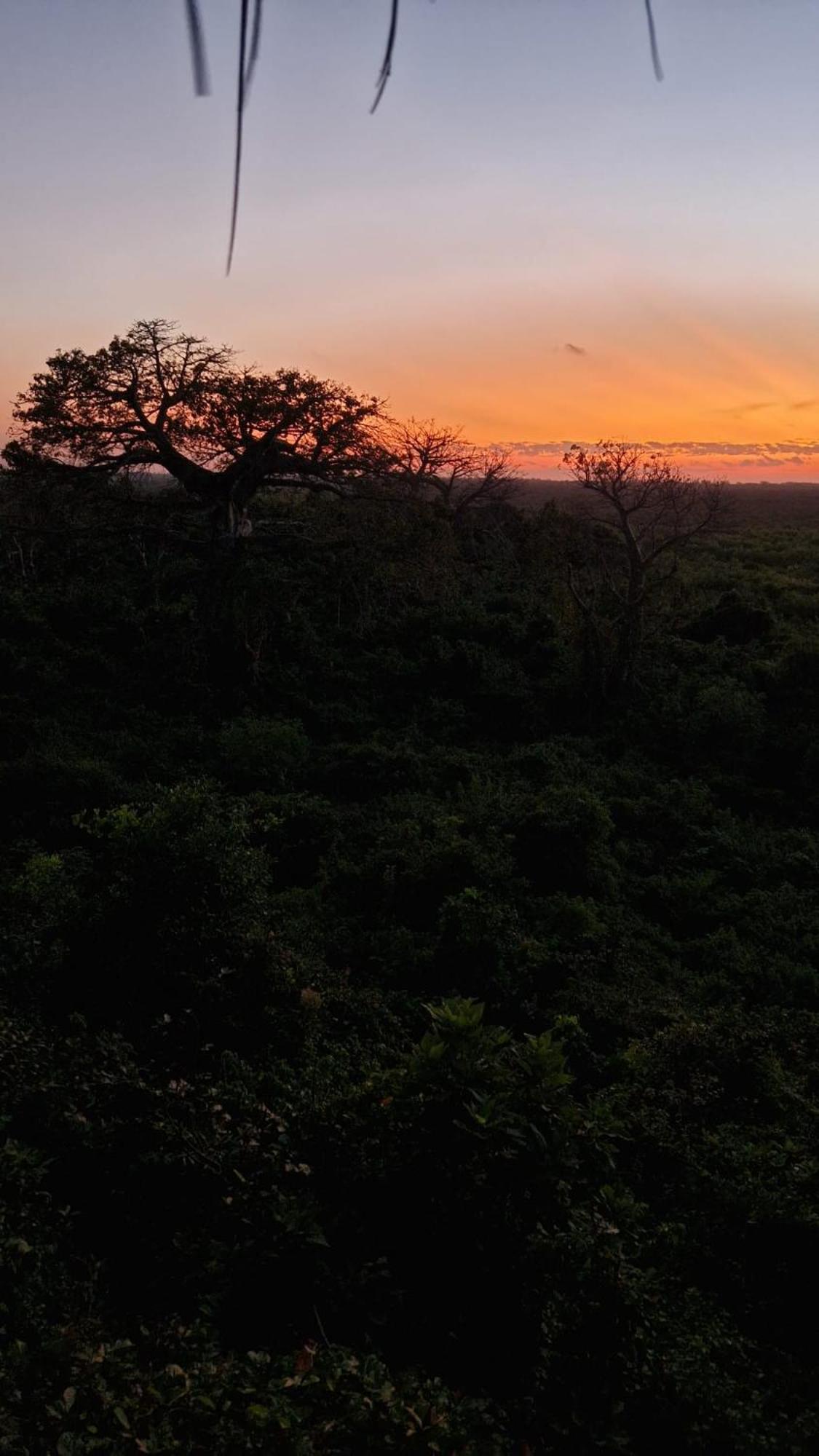 Monkey Mountain Lodge Mtende Ngoại thất bức ảnh
